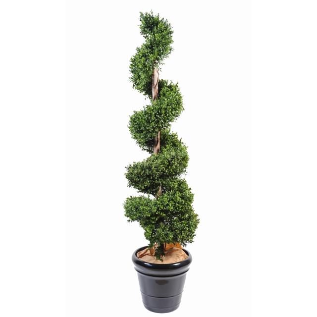 Buis décoratif hélicoïdal de 140 cm — silhouette végétale