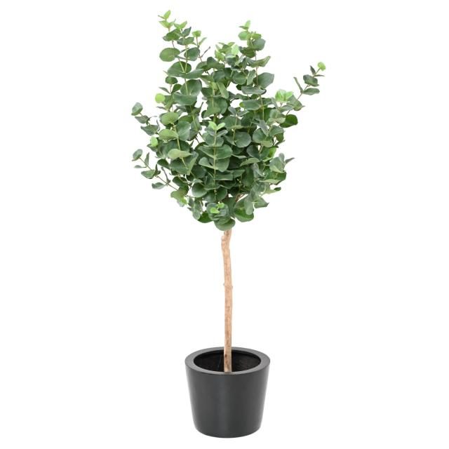 Eucalyptus décoratif sur tige, 150 cm, vert grisé — silhouette végétale