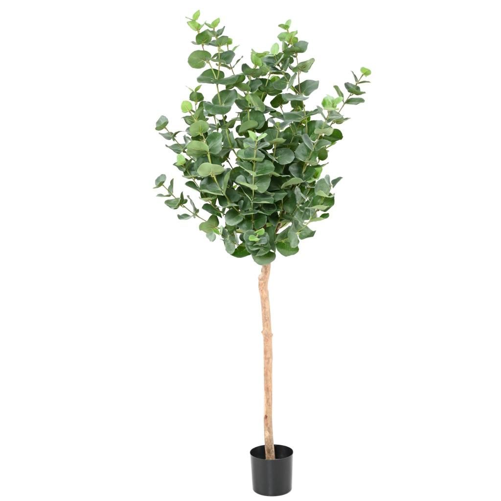 Eucalyptus décoratif sur tige, 150 cm, vert grisé — photographie complémentaire